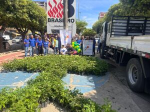 Rotary Club de Itaperuna realiza doação de milhares de mudas de arvores