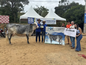 Itaperuna encerra Concurso Leiteiro 2025 com premiação a produtores