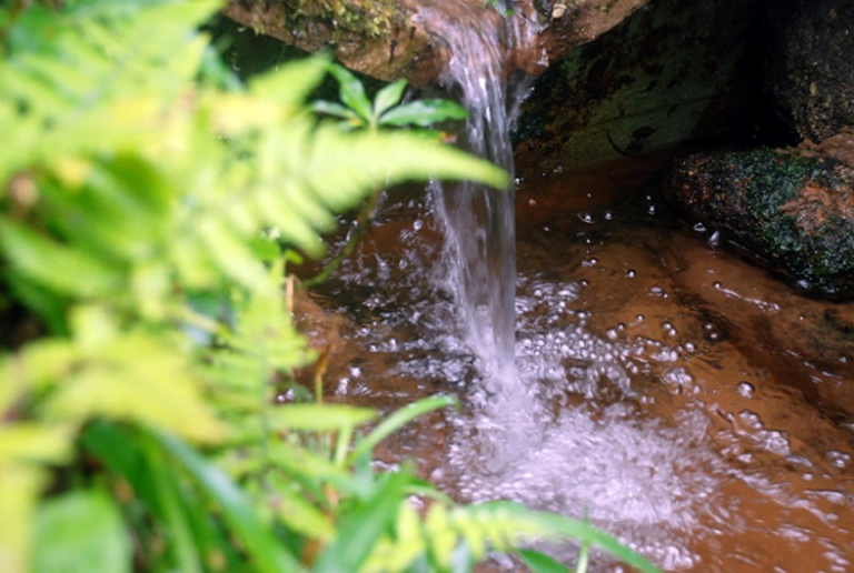 Imagem: nascentes água / Reprodução - Internet